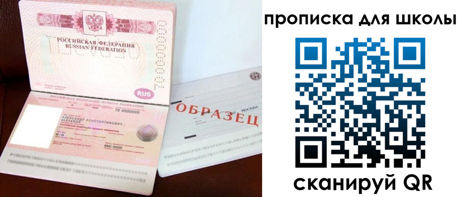 прописка для школы в Кировске